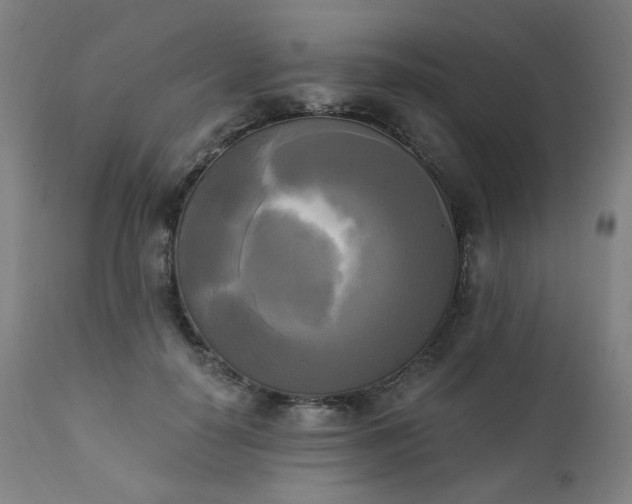 X0000111220650200907091313