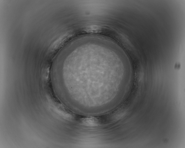 X0000111220652200907091313