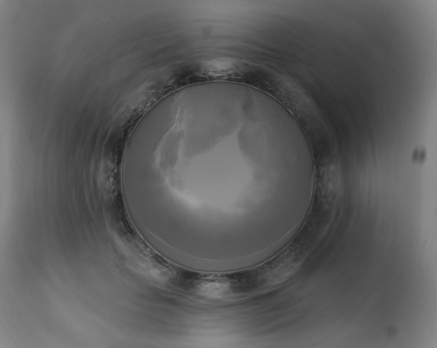 X0000111220653200907091313