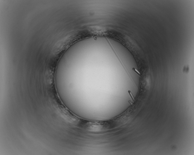 X0000111220658200907091313