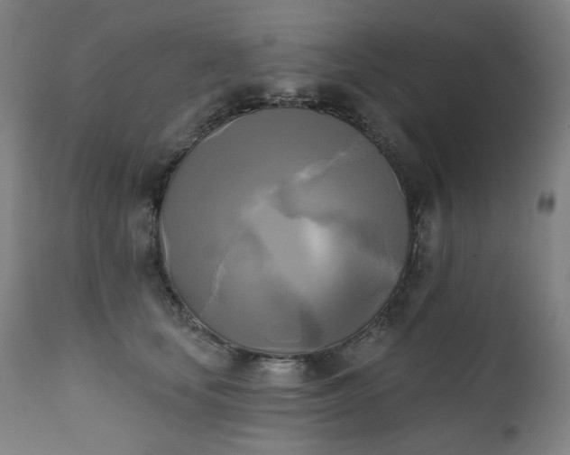 X0000111220659200907091313