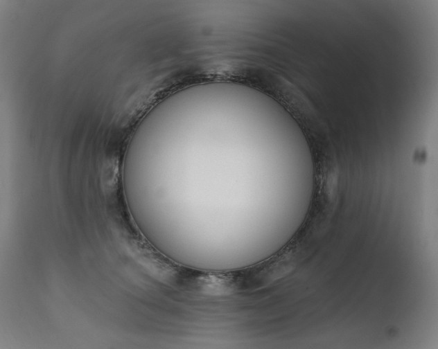 X0000111220660200907091313