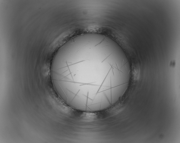 X0000111220665200907091313