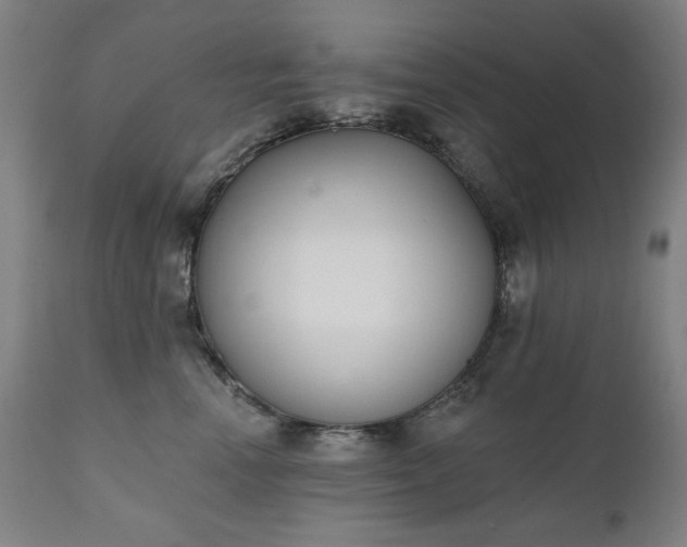X0000111220666200907091313