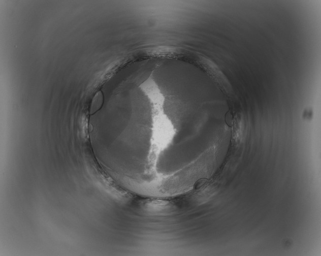 X0000111220669200907091313