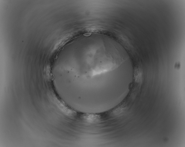 X0000111220670200907091313