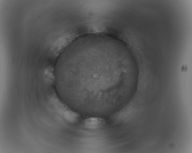 X0000111220672200907091313