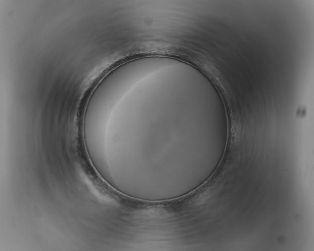 X0000111220674200907091312