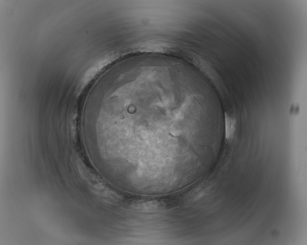 X0000111220675200907091312