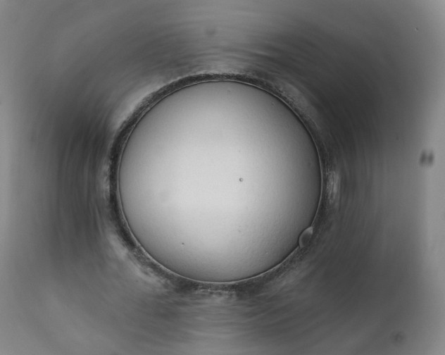 X0000111220676200907091312