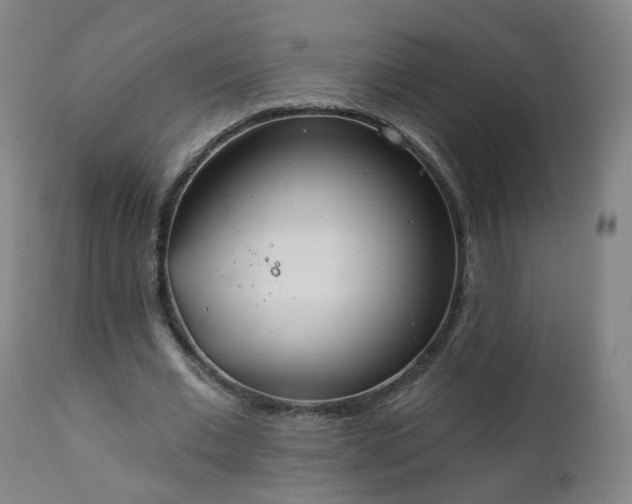 X0000111220677200907091312