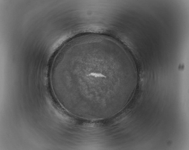 X0000111220679200907091312