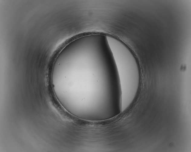 X0000111220680200907091312