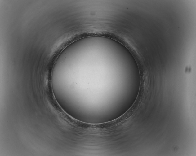 X0000111220685200907091312