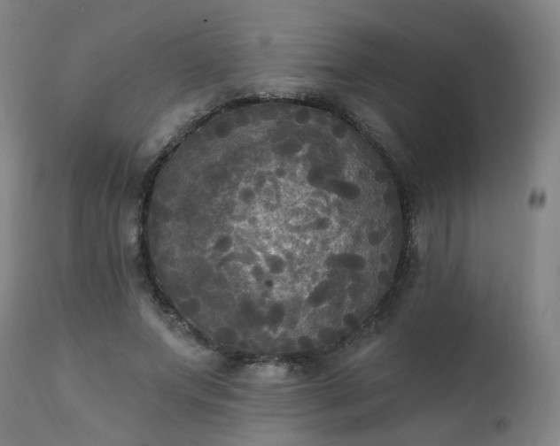 X0000111220687200907091312