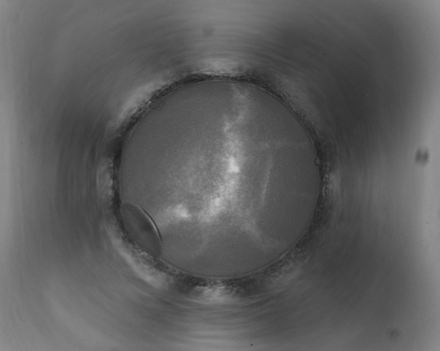 X0000111220688200907091312