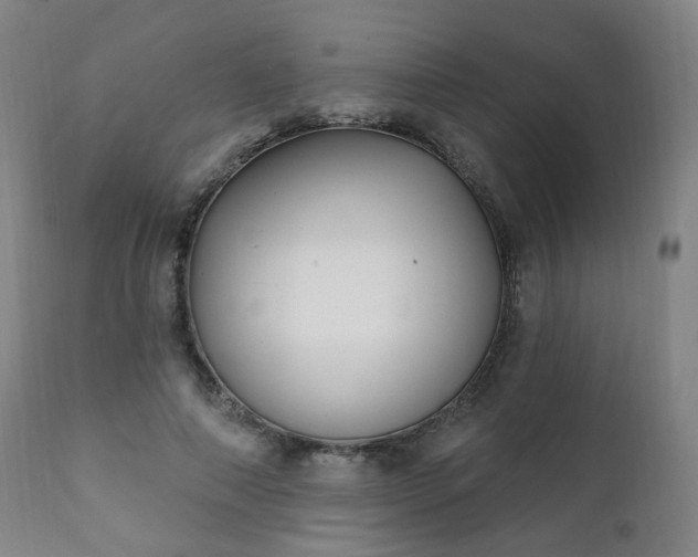 X0000111220690200907091312