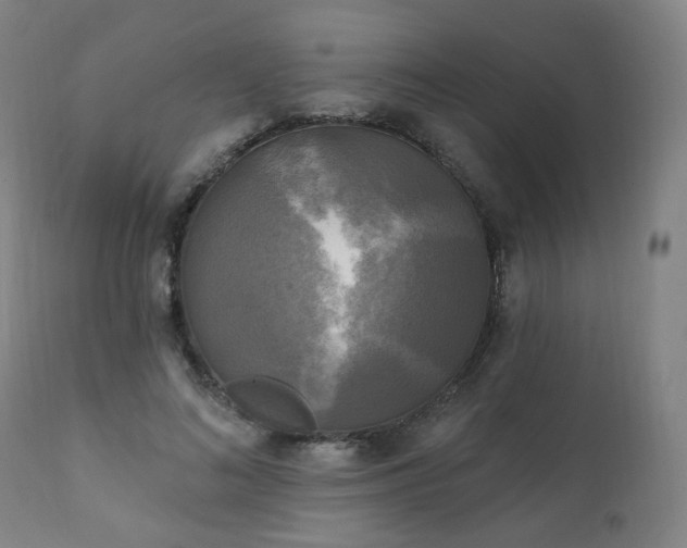 X0000111220692200907091312