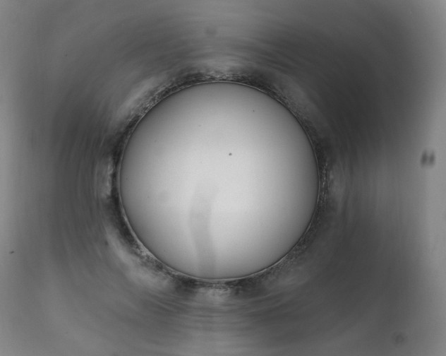 X0000111220694200907091312