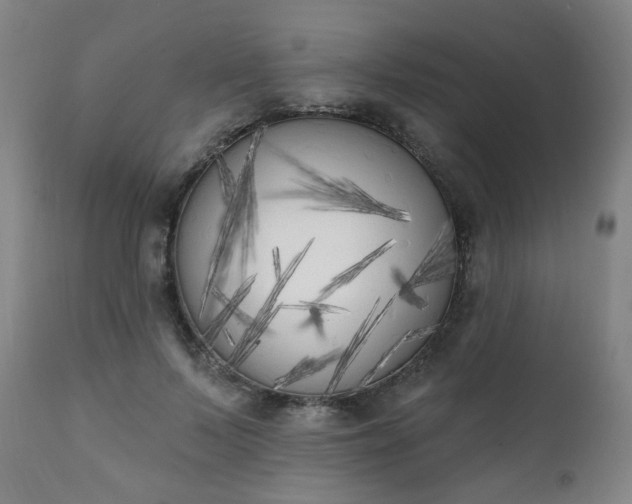X0000111220695200907091312