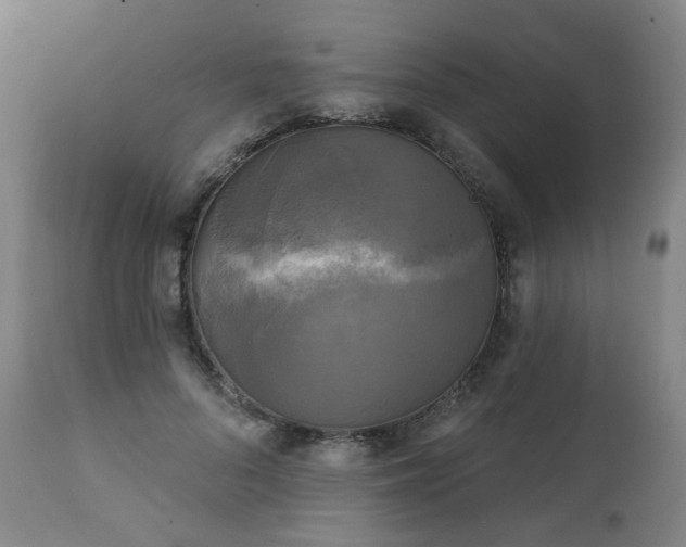 X0000111220696200907091312