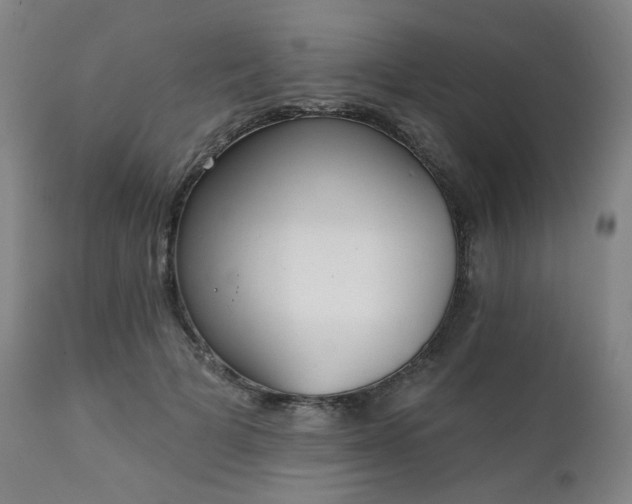 X0000111220697200907091312