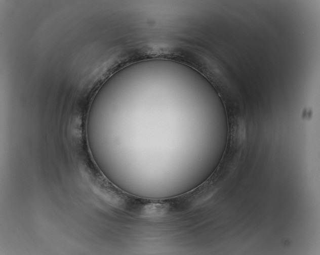 X0000111220700200907091312