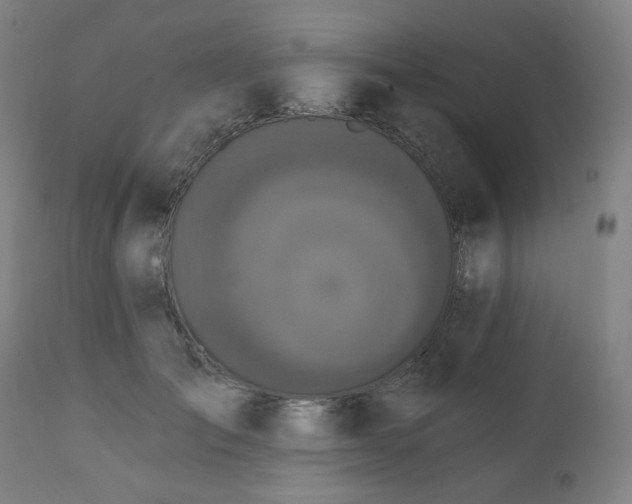 X0000111220701200907091312