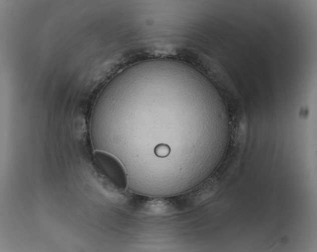 X0000111220704200907091312