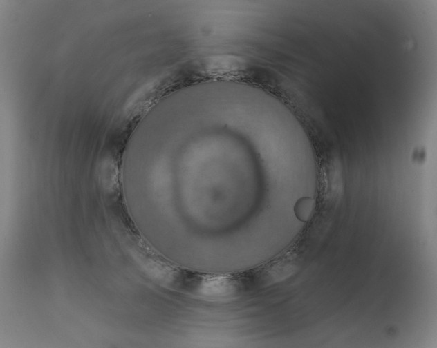 X0000111220705200907091312