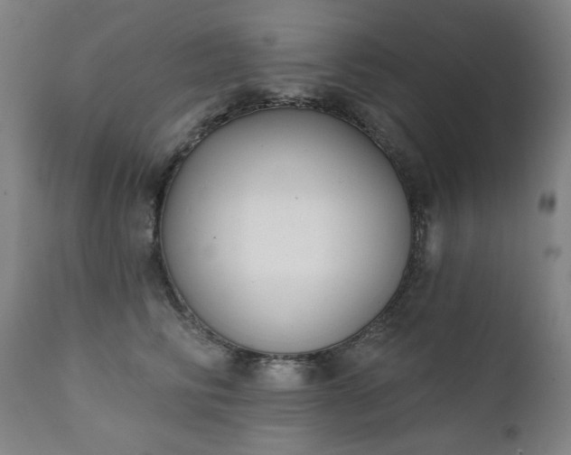 X0000111220710200907091312