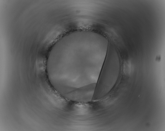 X0000111220712200907091312