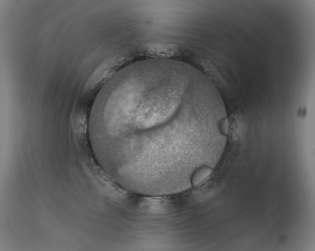 X0000111220713200907091312