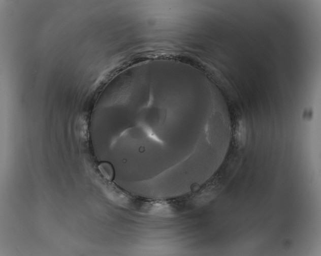 X0000111220715200907091312