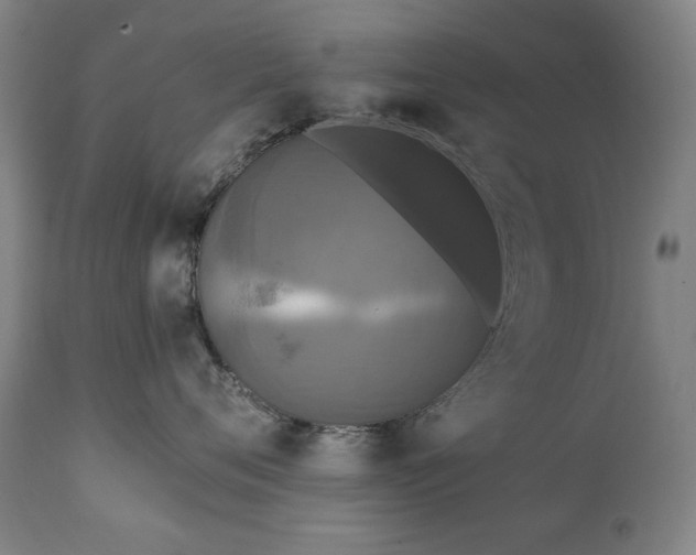 X0000111220720200907091311