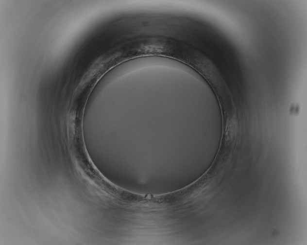 X0000111220722200907091311