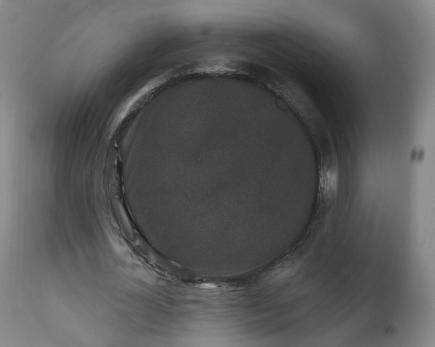 X0000111220724200907091311