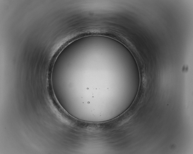 X0000111220725200907091311