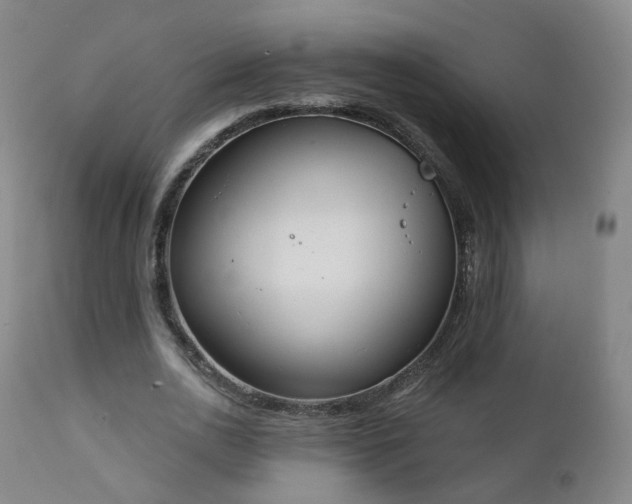 X0000111220726200907091311