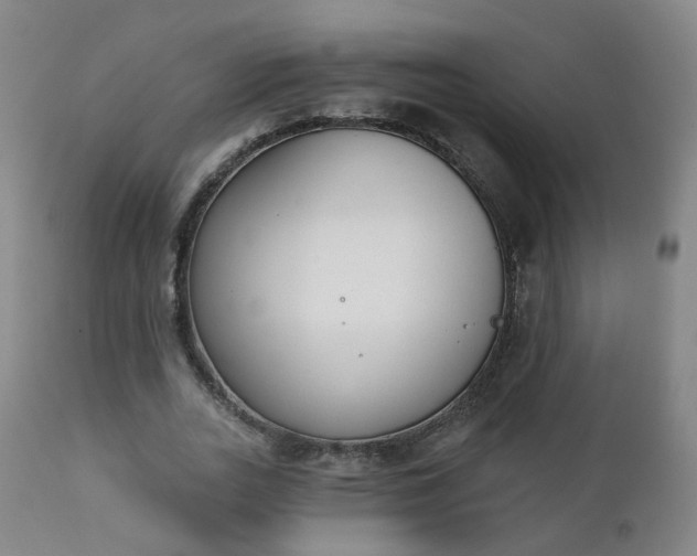X0000111220727200907091311
