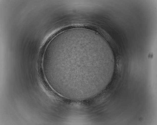X0000111220728200907091311