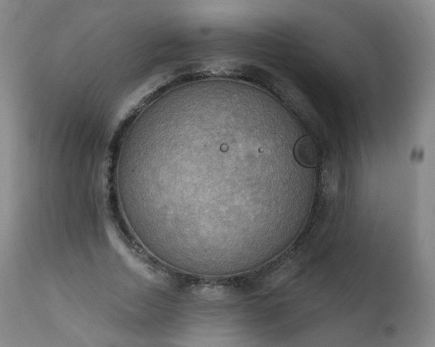 X0000111220730200907091311