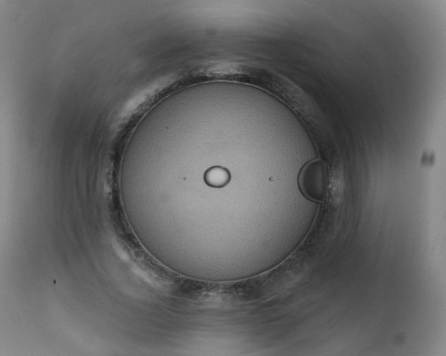 X0000111220732200907091311