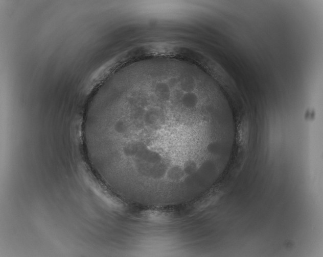 X0000111220733200907091311