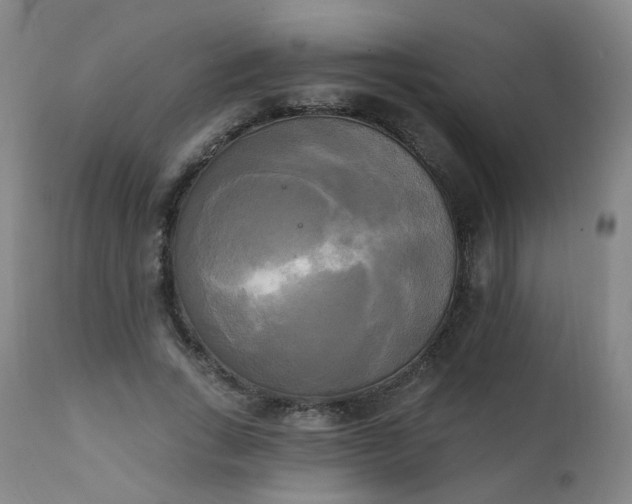 X0000111220735200907091311