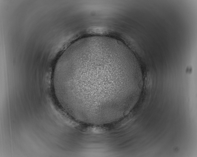 X0000111220739200907091311