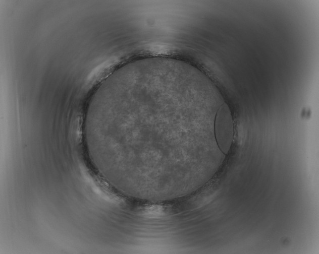 X0000111220740200907091311