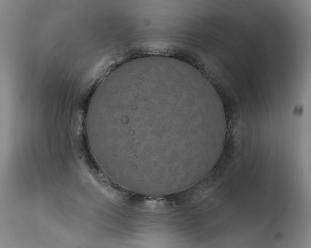 X0000111220744200907091311