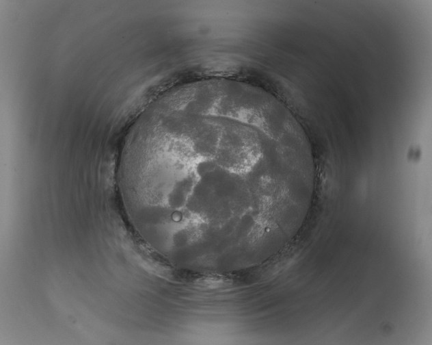 X0000111220745200907091311