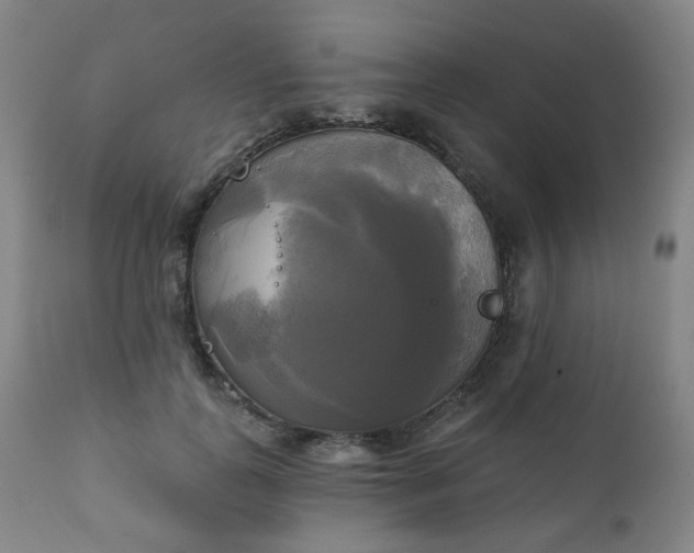 X0000111220747200907091311